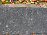 image of grave number 171760